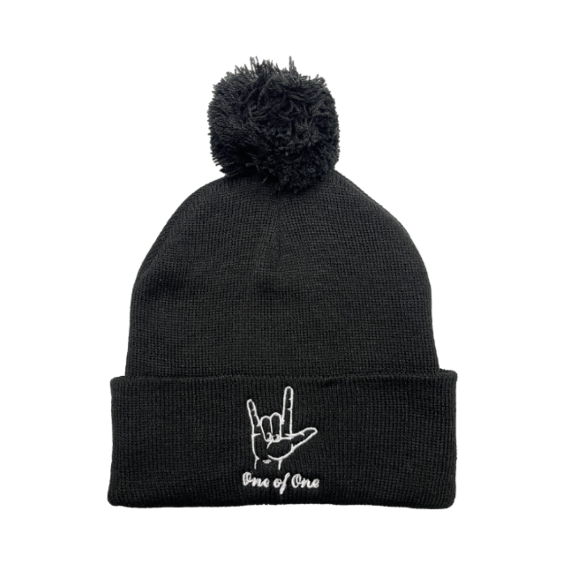 One of One Pom Beanie